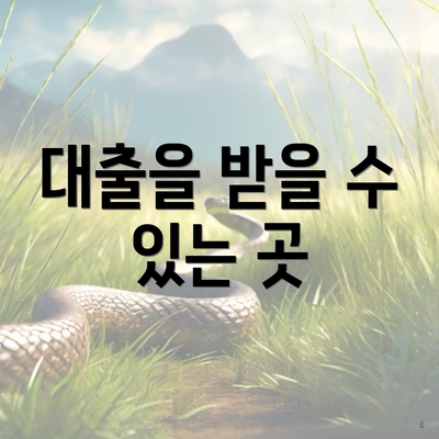 대출을 받을 수 있는 곳