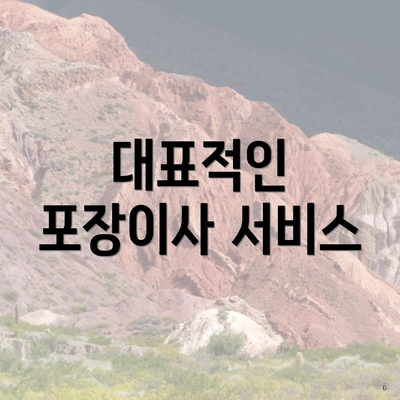 대표적인 포장이사 서비스
