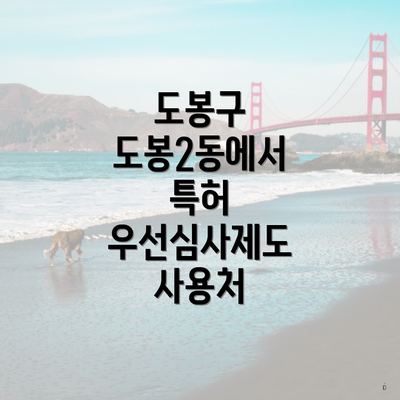 도봉구 도봉2동에서 특허 우선심사제도 사용처