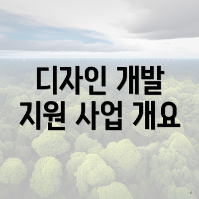 디자인 개발 지원 사업 개요