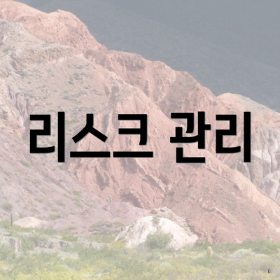 리스크 관리