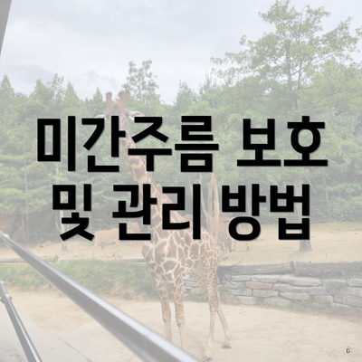미간주름 보호 및 관리 방법