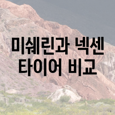 미쉐린과 넥센 타이어 비교