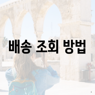 배송 조회 방법