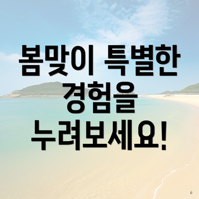 봄맞이 특별한 경험을 누려보세요!