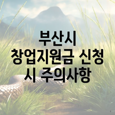 부산시 창업지원금 신청 시 주의사항
