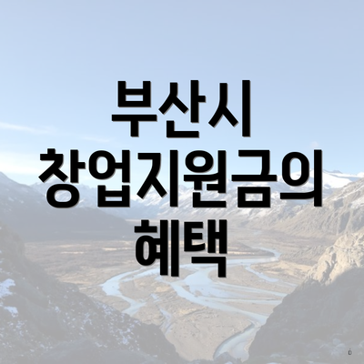 부산시 창업지원금의 혜택