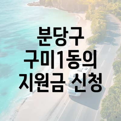 분당구 구미1동의 지원금 신청