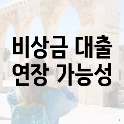 비상금 대출 연장 가능성