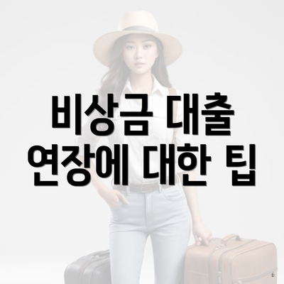 비상금 대출 연장에 대한 팁