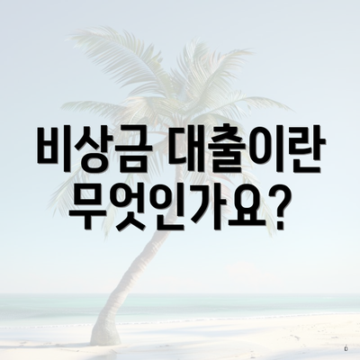 비상금 대출이란 무엇인가요?