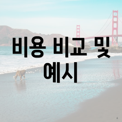 비용 비교 및 예시