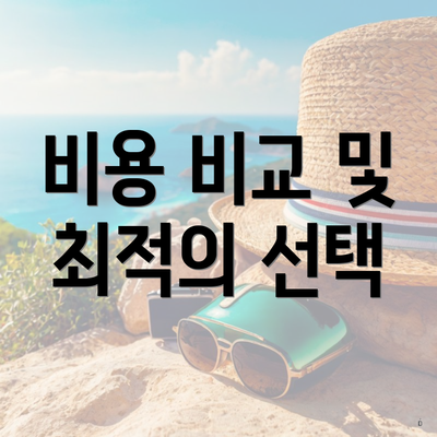 비용 비교 및 최적의 선택