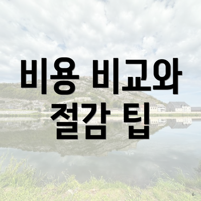 비용 비교와 절감 팁
