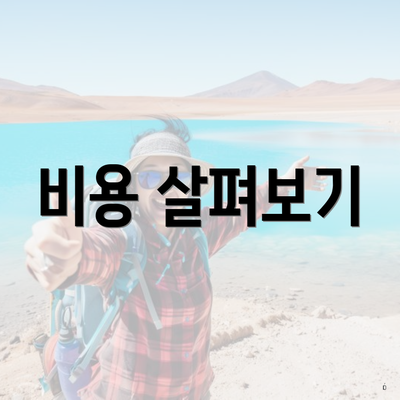비용 살펴보기