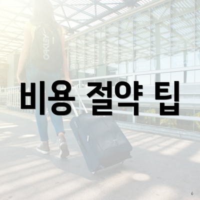 비용 절약 팁