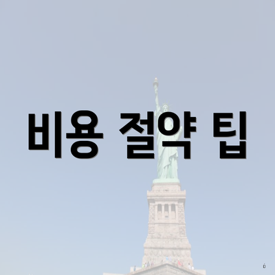 비용 절약 팁