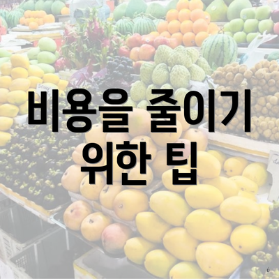 비용을 줄이기 위한 팁