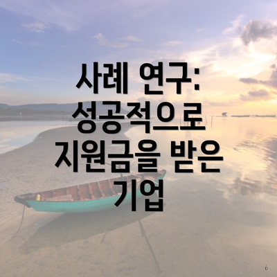 사례 연구: 성공적으로 지원금을 받은 기업