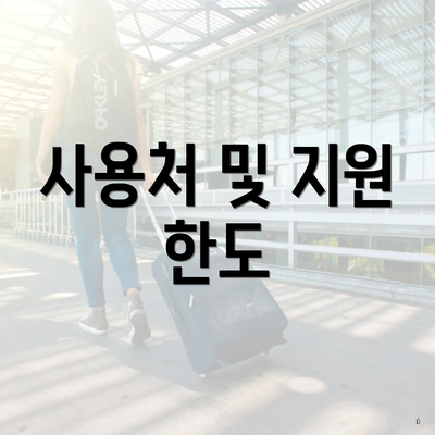 사용처 및 지원 한도