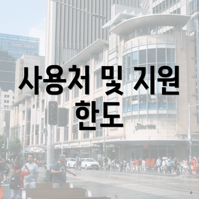 사용처 및 지원 한도