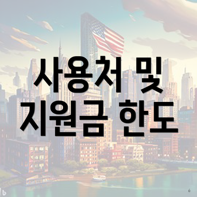 사용처 및 지원금 한도