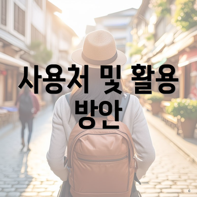 사용처 및 활용 방안