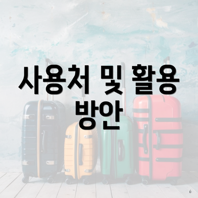 사용처 및 활용 방안