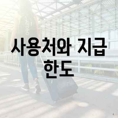 사용처와 지급 한도