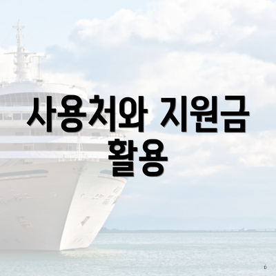 사용처와 지원금 활용