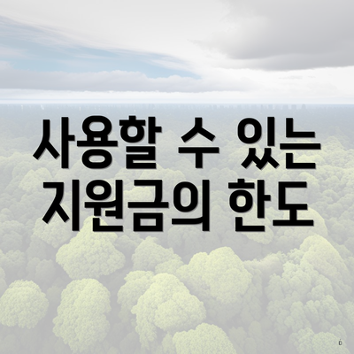 사용할 수 있는 지원금의 한도