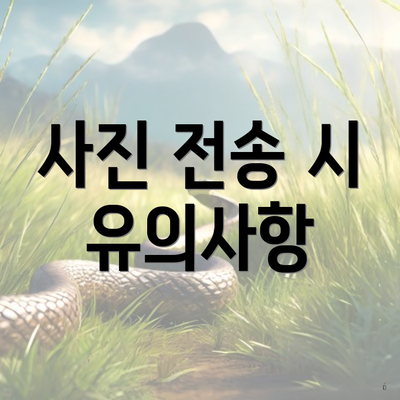사진 전송 시 유의사항