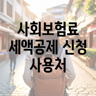 사회보험료 세액공제 신청 사용처