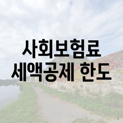 사회보험료 세액공제 한도