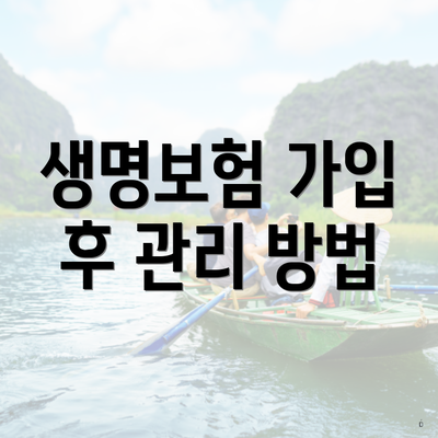 생명보험 가입 후 관리 방법