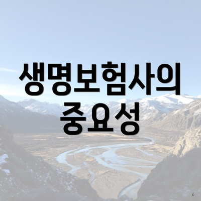 생명보험사의 중요성