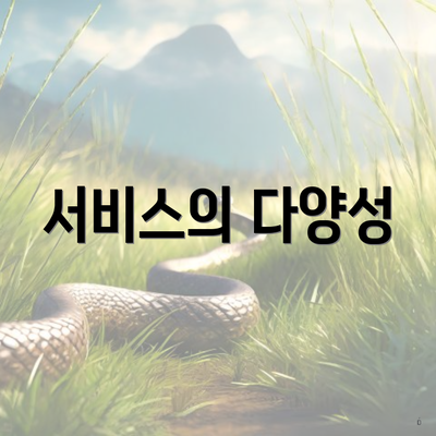 서비스의 다양성
