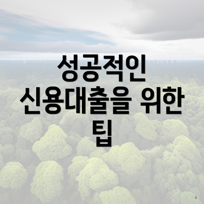 성공적인 신용대출을 위한 팁