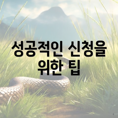 성공적인 신청을 위한 팁