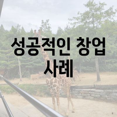 성공적인 창업 사례