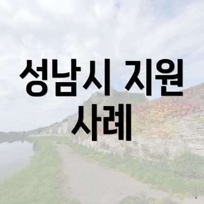 성남시 지원 사례