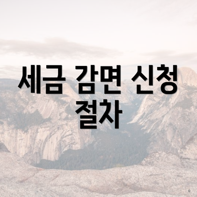 세금 감면 신청 절차