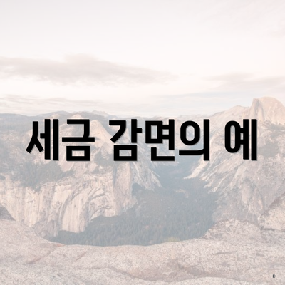 세금 감면의 예