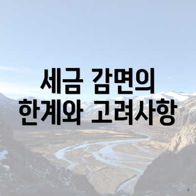 세금 감면의 한계와 고려사항