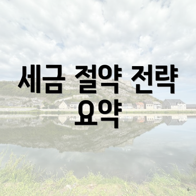 세금 절약 전략 요약