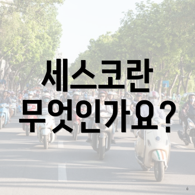 세스코란 무엇인가요?