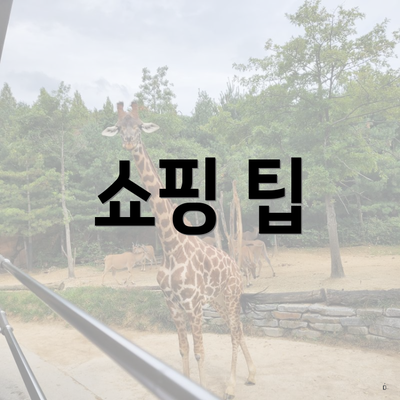 쇼핑 팁