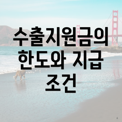 수출지원금의 한도와 지급 조건