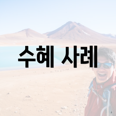 수혜 사례