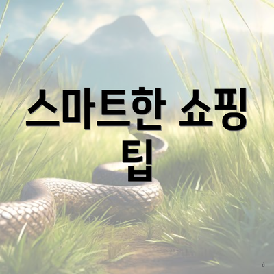 스마트한 쇼핑 팁